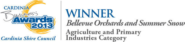 2013BusinessAwardsWi1.jpg - large